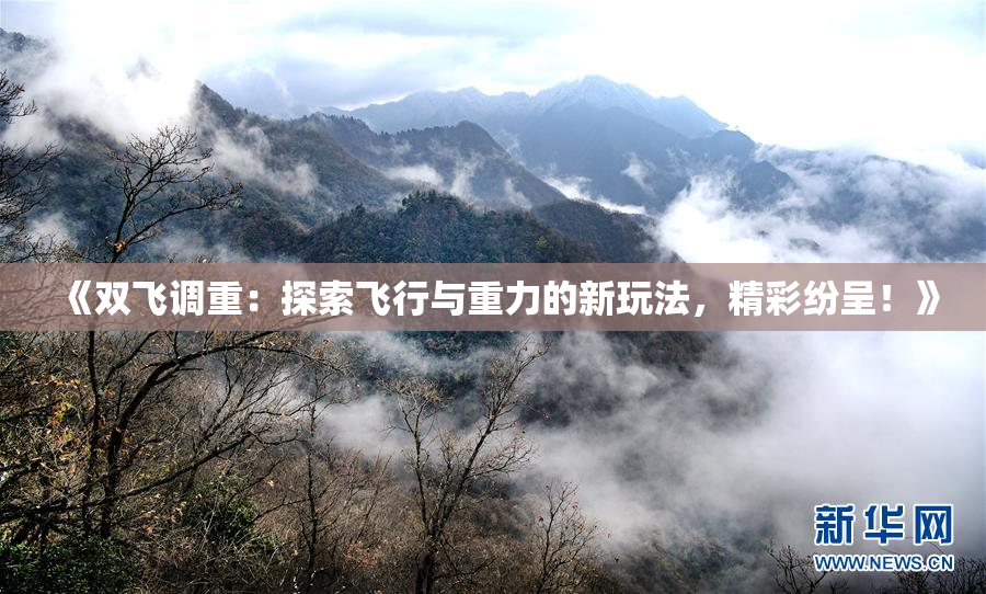《双飞调重：探索飞行与重力的新玩法，精彩纷呈！》