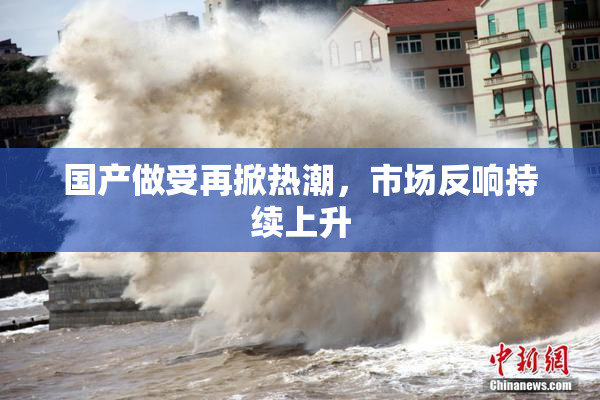 国产做受再掀热潮，市场反响持续上升