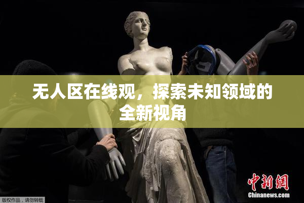 无人区在线观，探索未知领域的全新视角