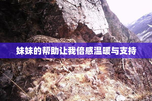 妹妹的帮助让我倍感温暖与支持