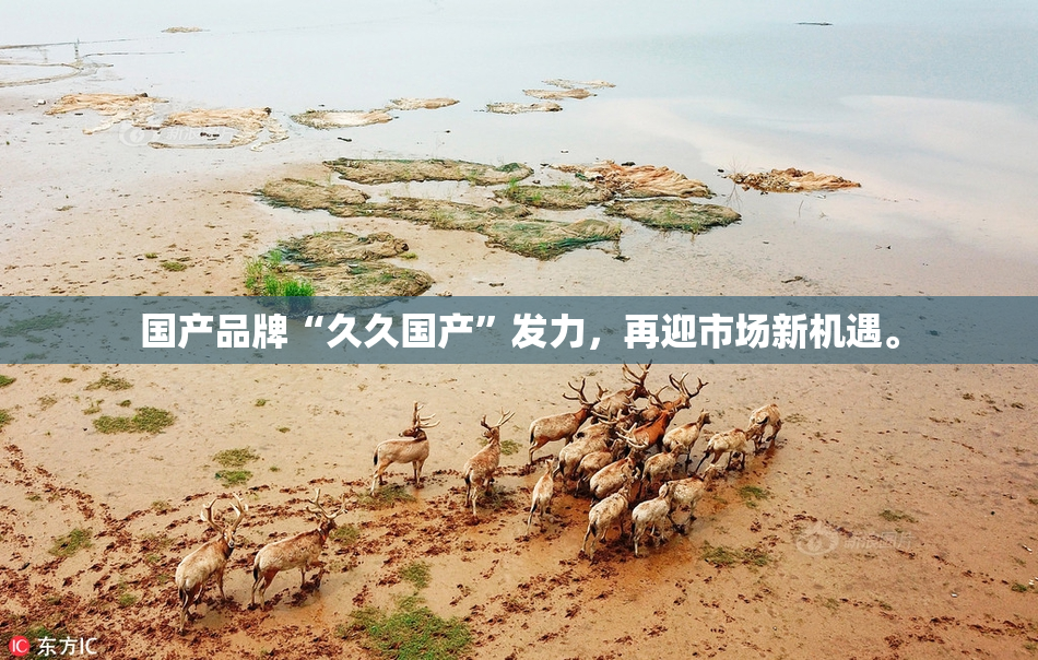国产品牌“久久国产”发力，再迎市场新机遇。