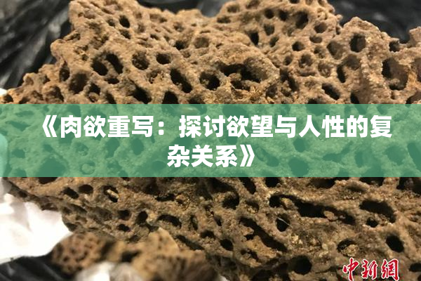 《肉欲重写：探讨欲望与人性的复杂关系》