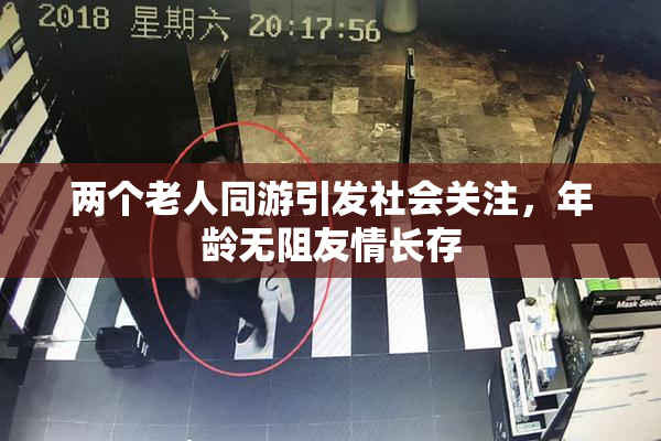 两个老人同游引发社会关注，年龄无阻友情长存