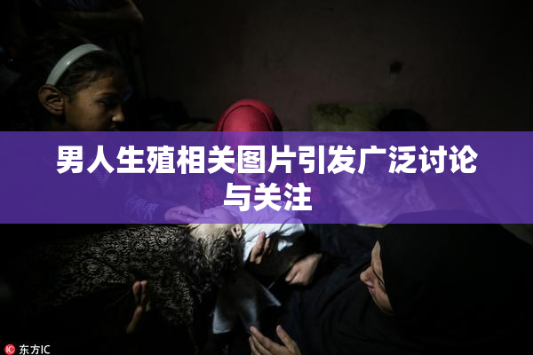 男人生殖相关图片引发广泛讨论与关注