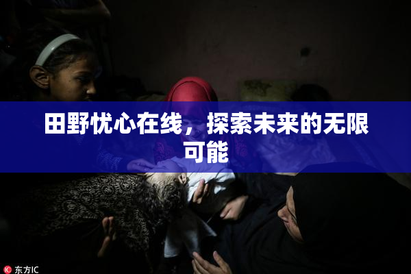田野忧心在线，探索未来的无限可能