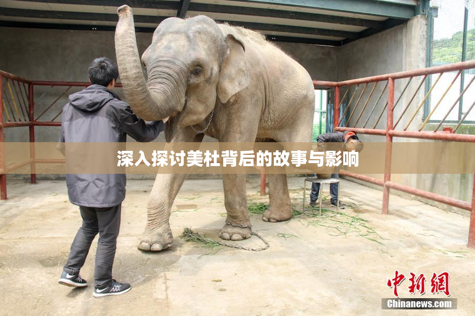深入探讨美杜背后的故事与影响