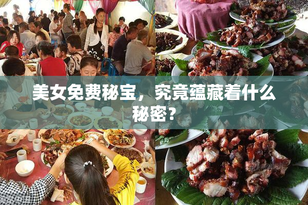 美女免费秘宝，究竟蕴藏着什么秘密？