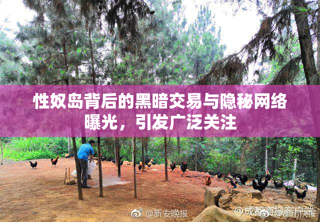 性奴岛背后的黑暗交易与隐秘网络曝光，引发广泛关注