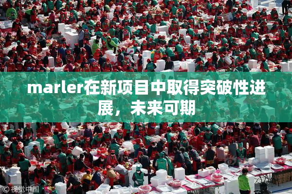 marler在新项目中取得突破性进展，未来可期