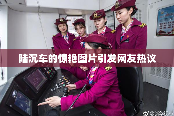 陆沉车的惊艳图片引发网友热议