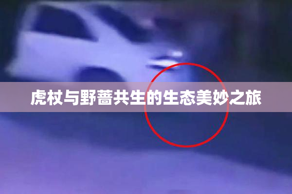 虎杖与野蔷共生的生态美妙之旅