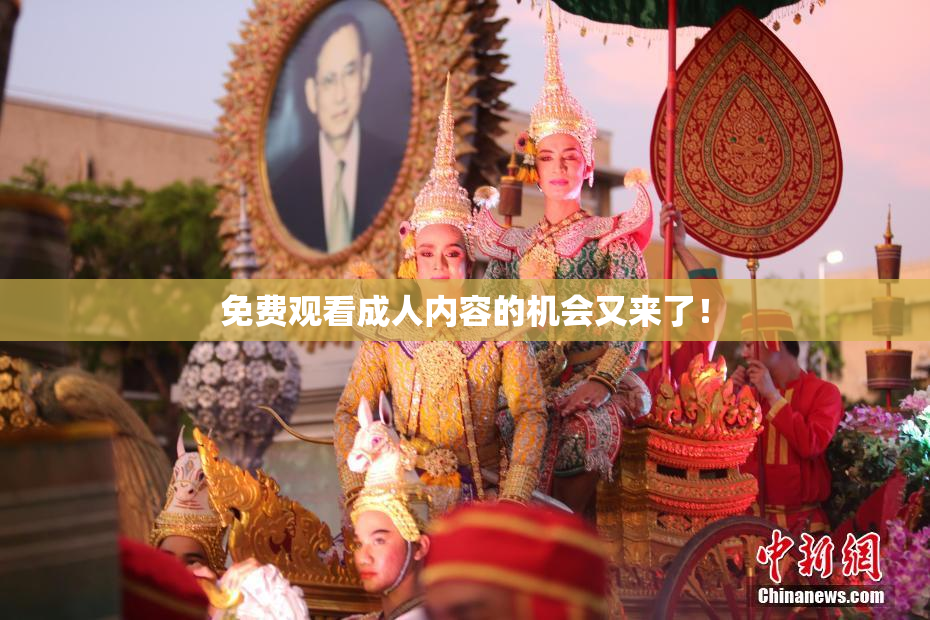 免费观看成人内容的机会又来了！