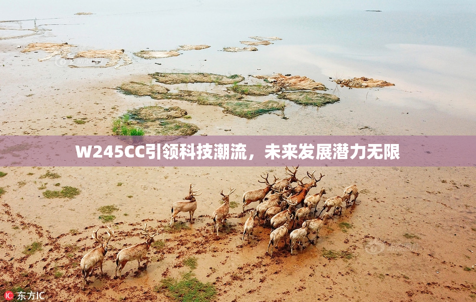 W245CC引领科技潮流，未来发展潜力无限
