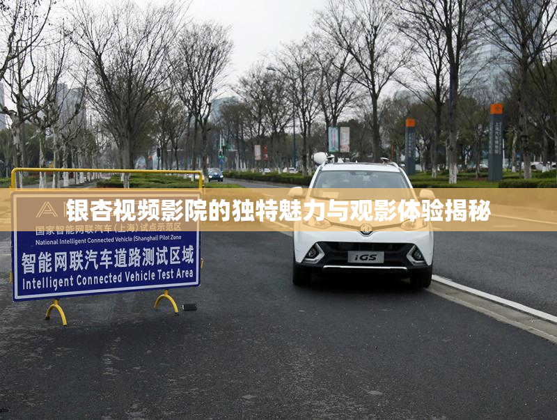 银杏视频影院的独特魅力与观影体验揭秘