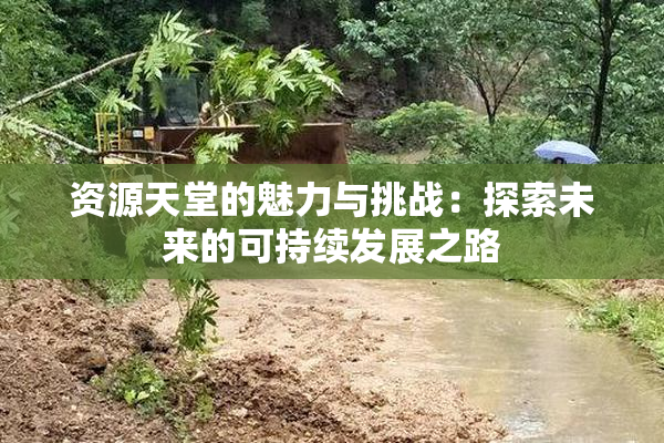 资源天堂的魅力与挑战：探索未来的可持续发展之路