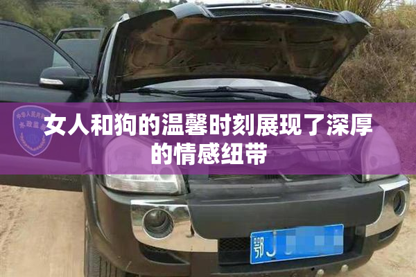 女人和狗的温馨时刻展现了深厚的情感纽带