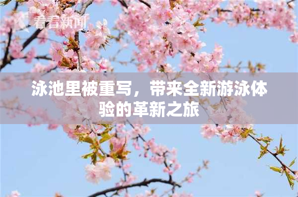 泳池里被重写，带来全新游泳体验的革新之旅
