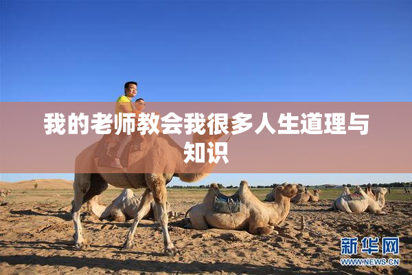 我的老师教会我很多人生道理与知识