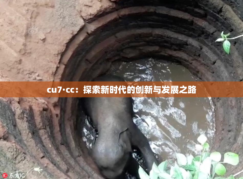 cu7·cc：探索新时代的创新与发展之路