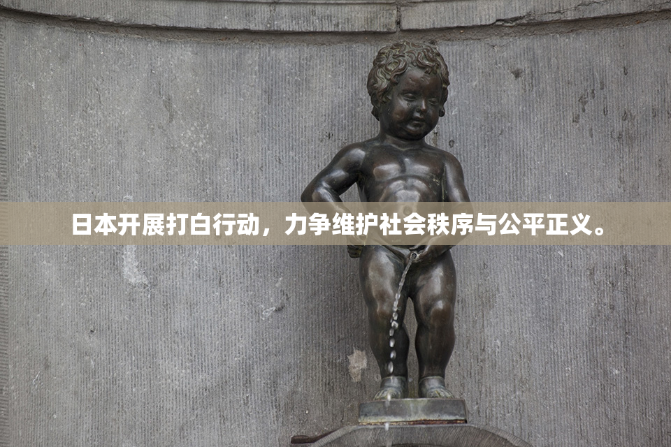 日本开展打白行动，力争维护社会秩序与公平正义。
