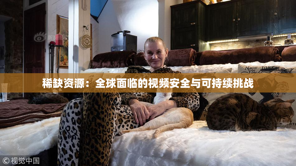 稀缺资源：全球面临的视频安全与可持续挑战
