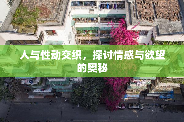 人与性动交织，探讨情感与欲望的奥秘