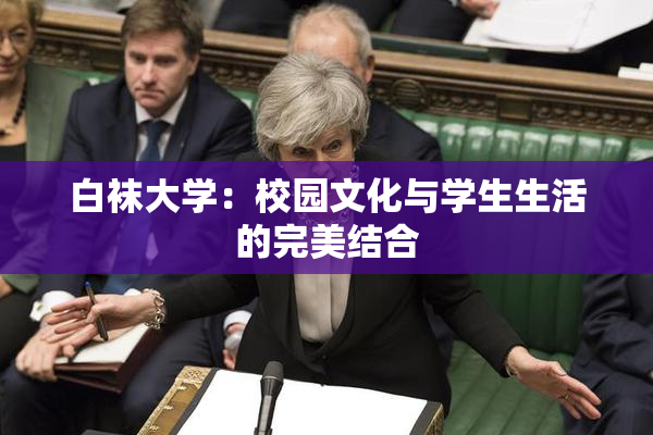 白袜大学：校园文化与学生生活的完美结合