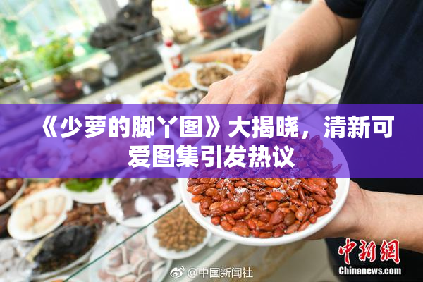 《少萝的脚丫图》大揭晓，清新可爱图集引发热议