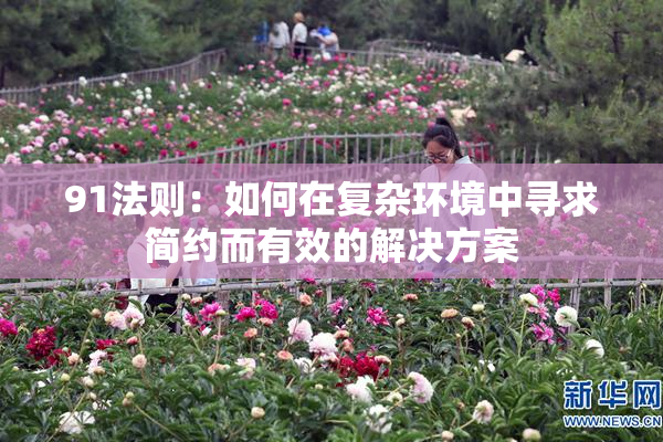 91法则：如何在复杂环境中寻求简约而有效的解决方案