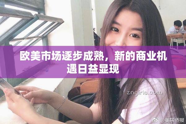 欧美市场逐步成熟，新的商业机遇日益显现