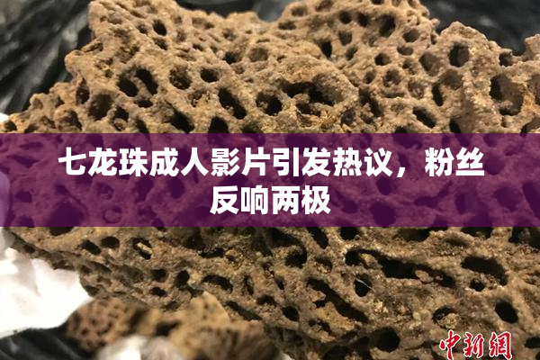 七龙珠成人影片引发热议，粉丝反响两极
