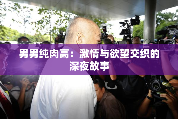 男男纯肉高：激情与欲望交织的深夜故事