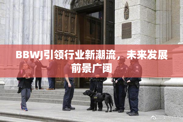 BBWJ引领行业新潮流，未来发展前景广阔