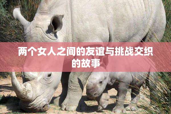 两个女人之间的友谊与挑战交织的故事