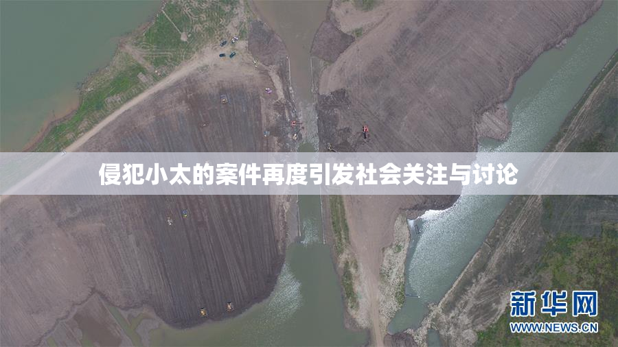 侵犯小太的案件再度引发社会关注与讨论
