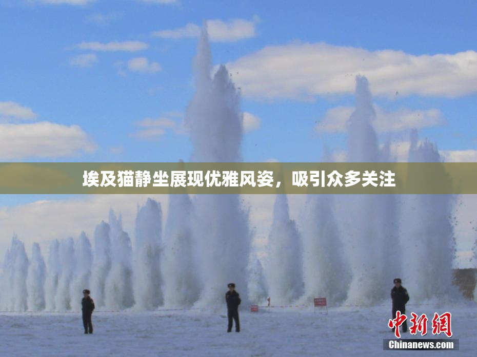 埃及猫静坐展现优雅风姿，吸引众多关注