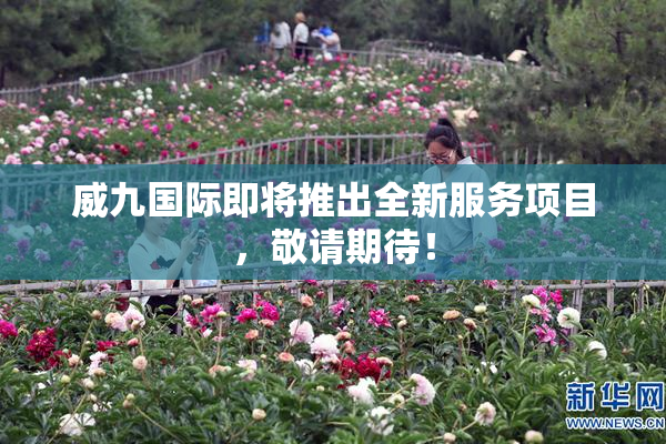 威九国际即将推出全新服务项目，敬请期待！