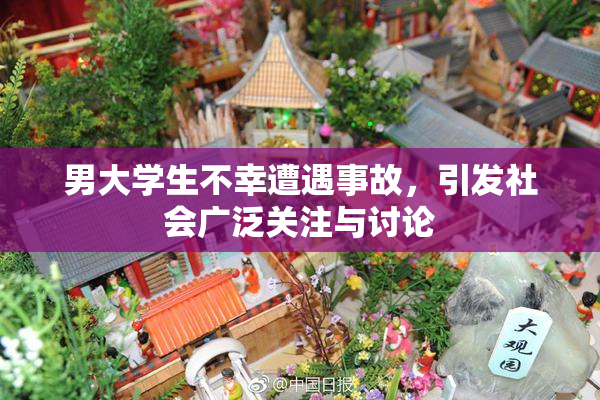 男大学生不幸遭遇事故，引发社会广泛关注与讨论