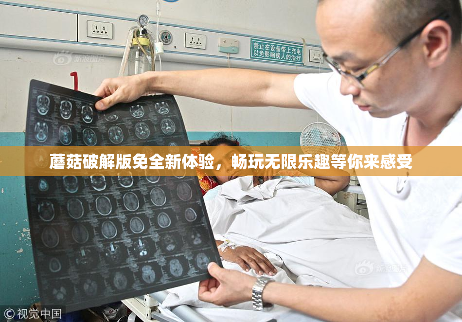 蘑菇破解版免全新体验，畅玩无限乐趣等你来感受