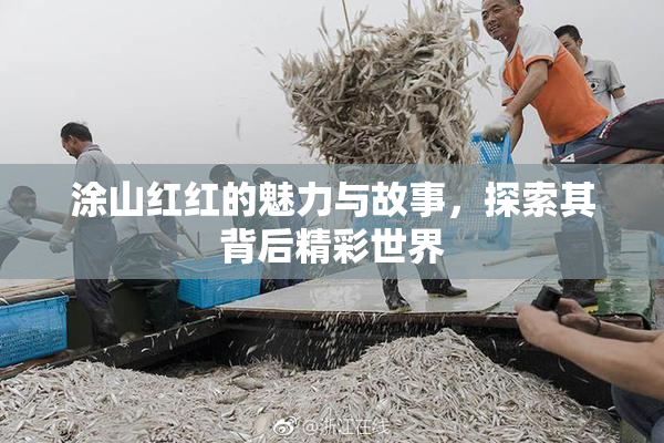 涂山红红的魅力与故事，探索其背后精彩世界