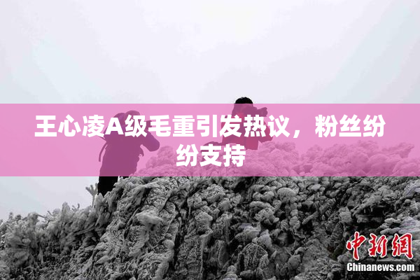 王心凌A级毛重引发热议，粉丝纷纷支持