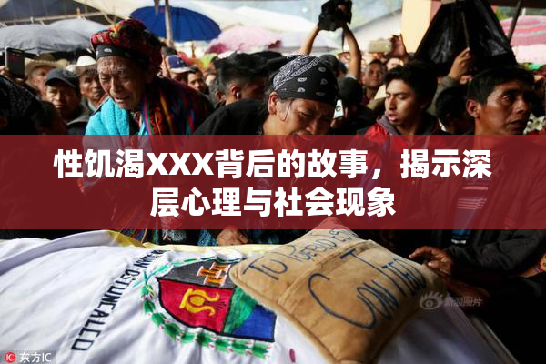 性饥渴XXX背后的故事，揭示深层心理与社会现象
