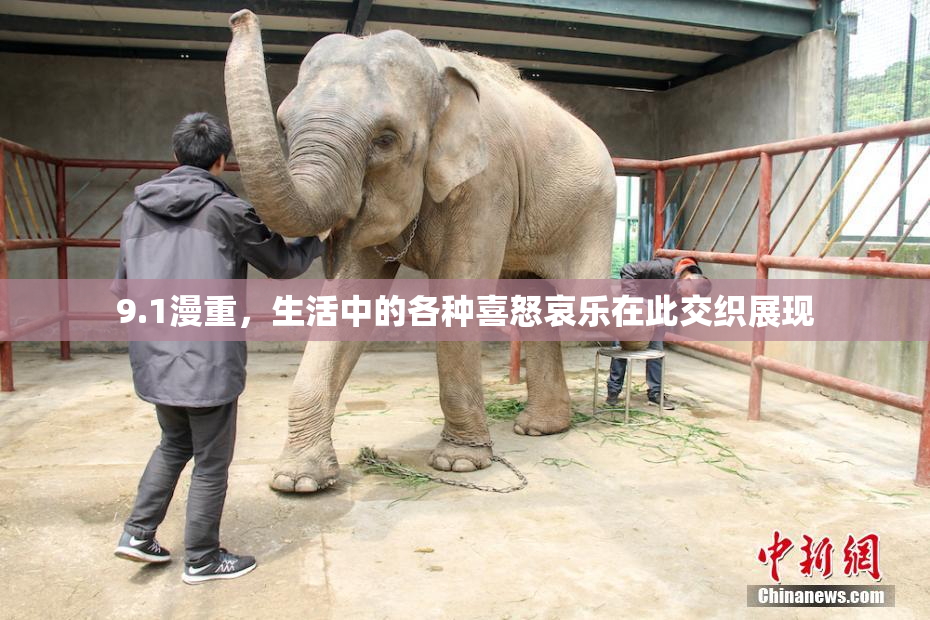 9.1漫重，生活中的各种喜怒哀乐在此交织展现
