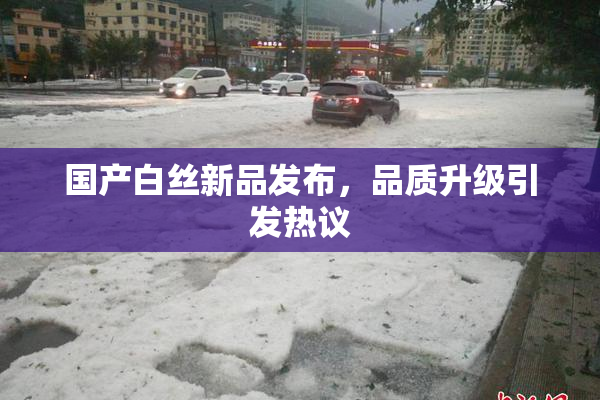 国产白丝新品发布，品质升级引发热议
