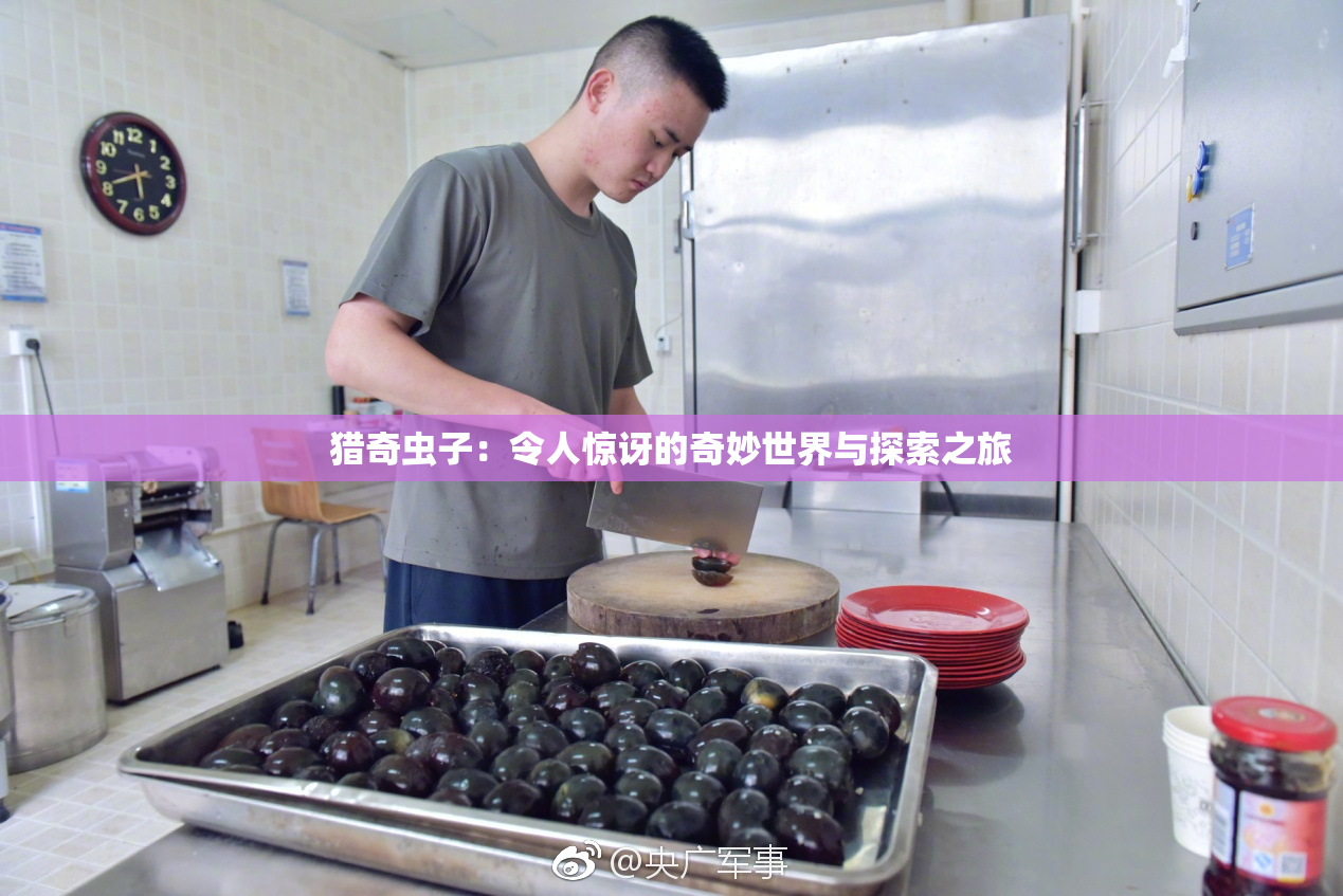 猎奇虫子：令人惊讶的奇妙世界与探索之旅