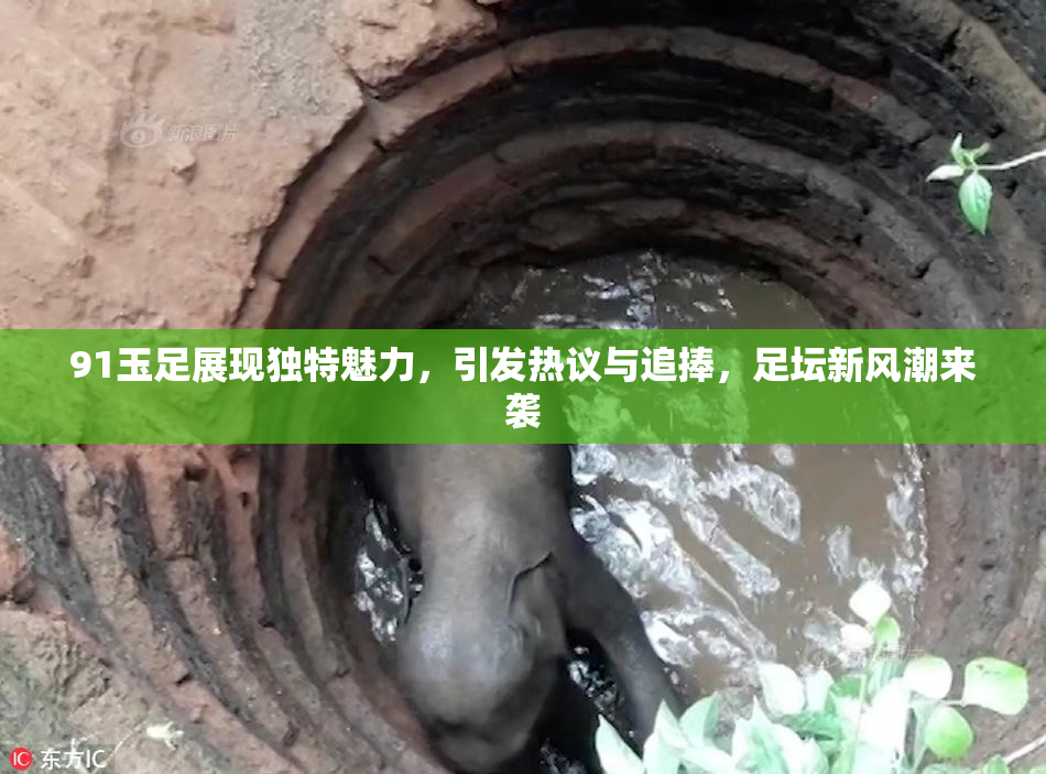 91玉足展现独特魅力，引发热议与追捧，足坛新风潮来袭