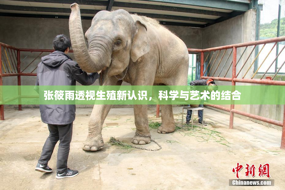 张筱雨透视生殖新认识，科学与艺术的结合