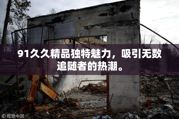 91久久精品独特魅力，吸引无数追随者的热潮。