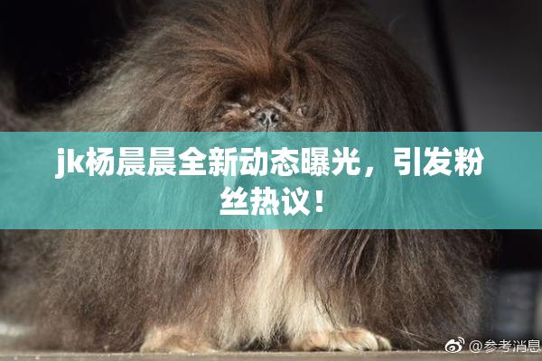jk杨晨晨全新动态曝光，引发粉丝热议！