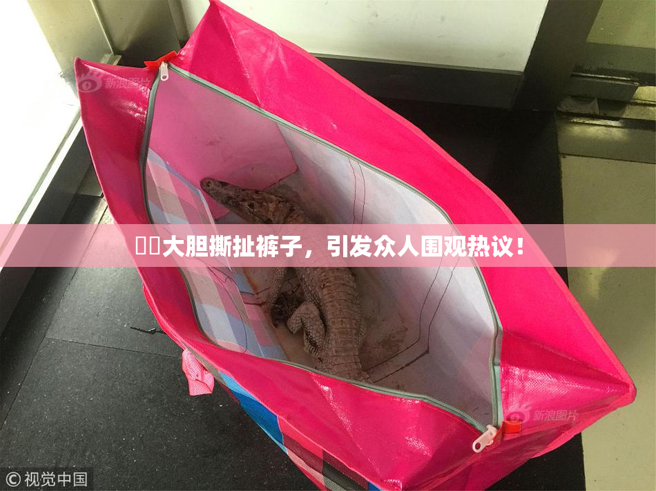 妺妺大胆撕扯裤子，引发众人围观热议！